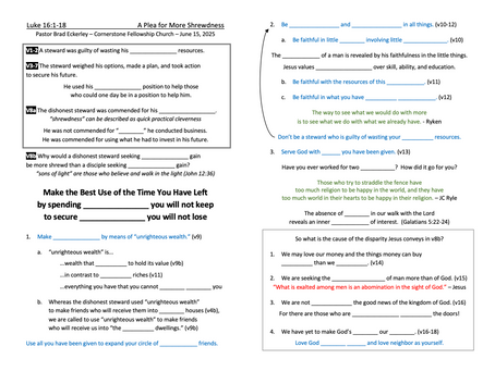 Luke 16:1-18 A Plea for More Shrewdness