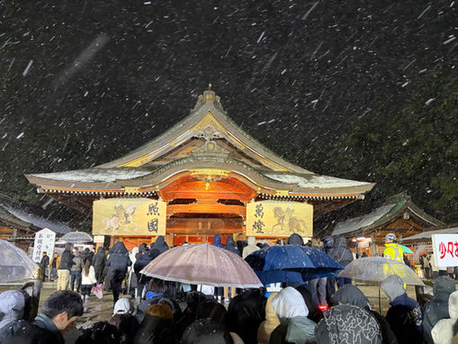 新年まるやまです🐴