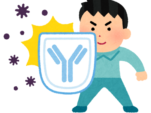 免疫を高める〇〇