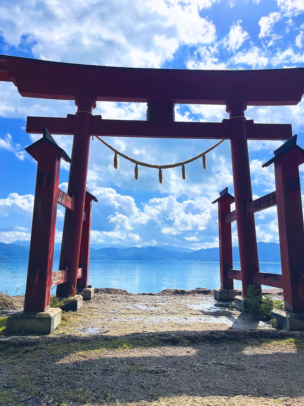 丸山の休館日