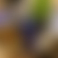 体力つけるために