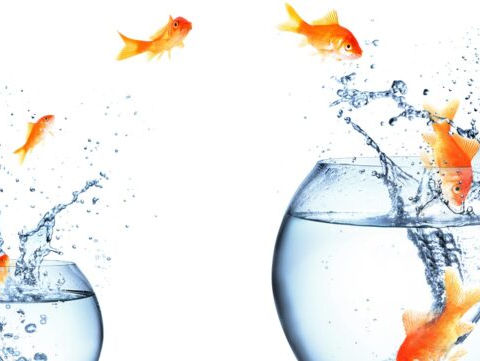 Corporate Empowerment gegen Personalfluktuation und die daraus entstehenden Kosten