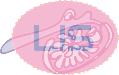 LIS.png