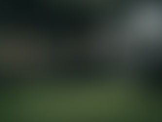 Mastering the Golf Swing Technique for Beginners: A Premium Guide for 2026