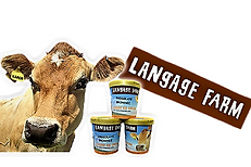 Langage-Tubs (2).png
