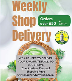 local delivery poster_edited.jpg