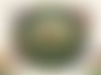 The Secret in the Pages: Why I Built the Lensomy Circle Sanctuary