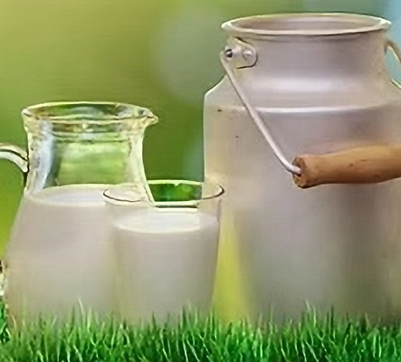 milk from the churn_edited.jpg