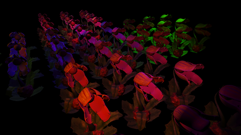 Vulkan Graphics Engine