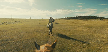 Montana (19)_edited.jpg