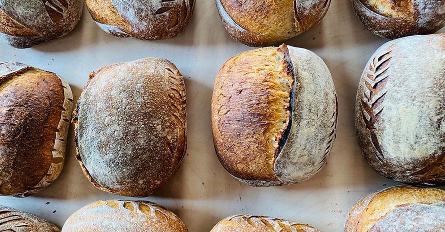 Sauerteig Workshop und Brotbackkurs bei COPAIN Bern