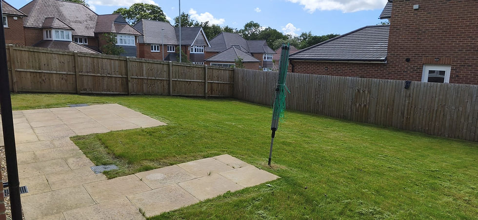 Domestic Lawn