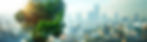offerings-background.jpg