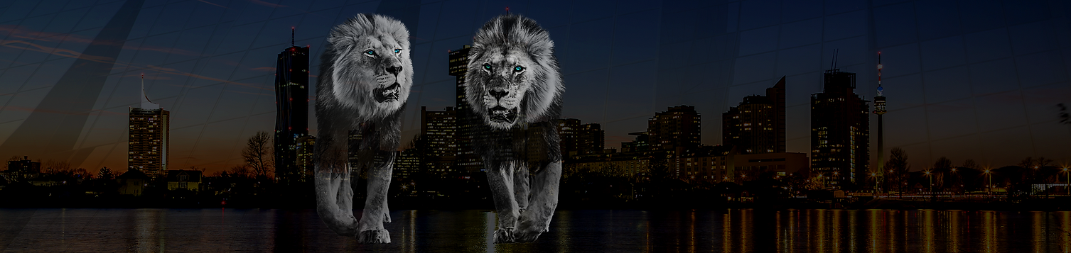 website_banner.png