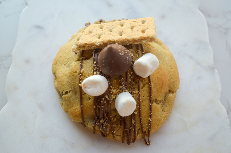 Smores Campfire Cookies