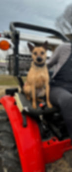 JAX