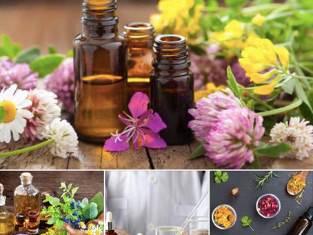Why Essential Oils: What’s the point? A tale of little liquids...