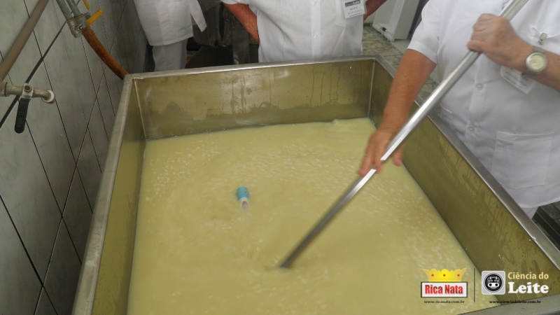 Curso de queijo em março de 2015