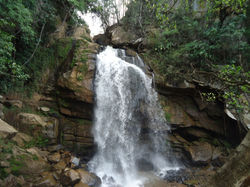 Piracema 02
