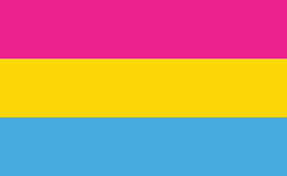 Pansexual Flag.webp