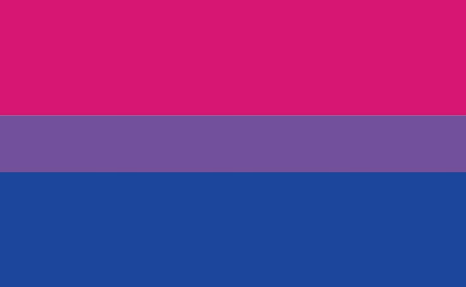 Bisexual Flag.webp