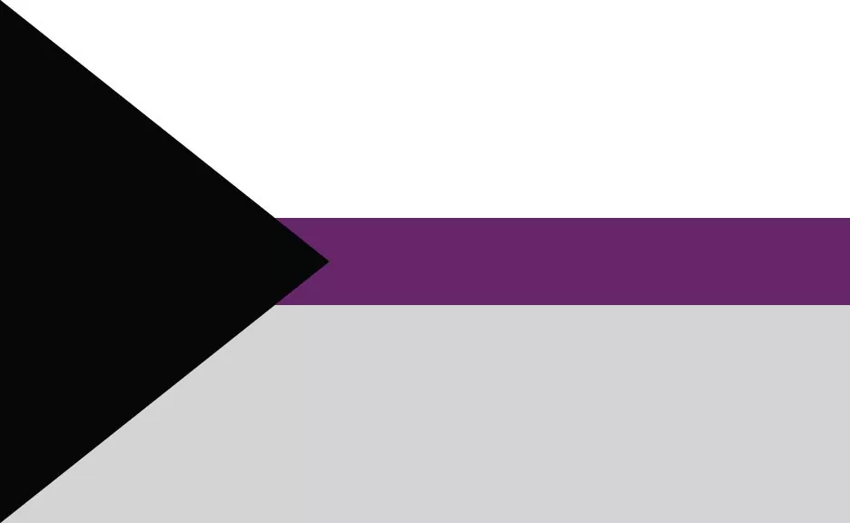 Demi Sexual Flag.webp