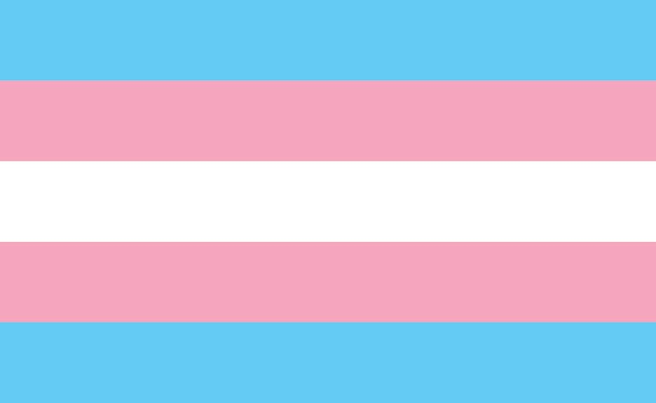 Trans Flag.webp