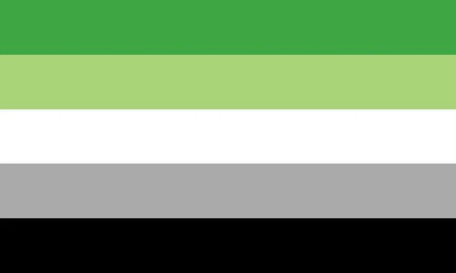 aromantic_pride_flag_Heckin_Unicorn.webp