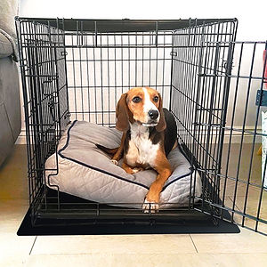 5. PTEX Dog Crate LS.jpg