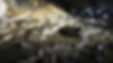 akiyoshido_slider_03.jpg