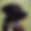 Thumbnail: Noah