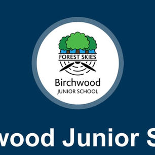 Birchwood Junior School 'Wear Blue' for Sophie's Journey 