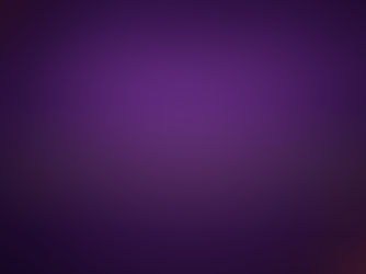 Purple and gold banner displaying the name Manifestation of His Glory Network, Inc.