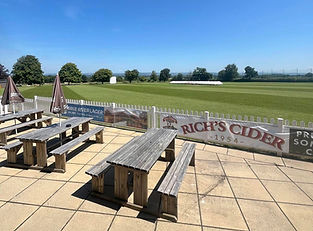 shapwick polden