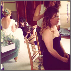 alt_pic_englishweddingvenue_charlene