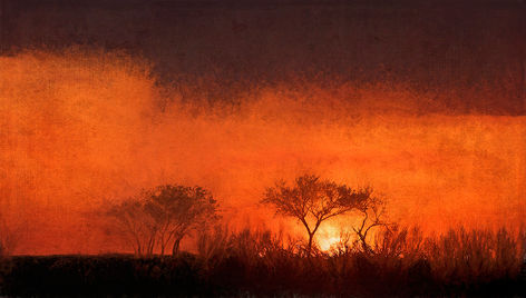 Red sky, red sunset, trees in sunset