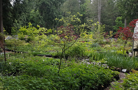 20190512_132234_edited.jpg
