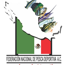 logo 1.png
