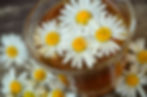 tisane de camomille ou de bellis ?