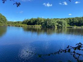 Gîtes tit'anse et spa-Marie-Galante-Guad