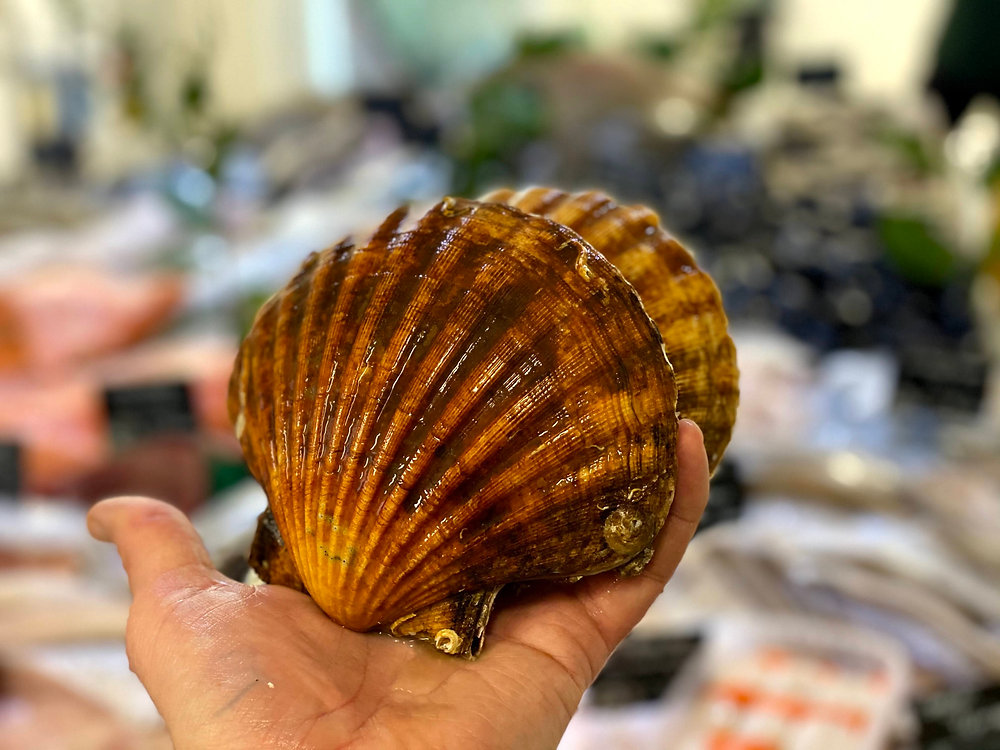 Our recipe for December Panfried scallops with parsnip purée