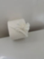 Decorative toilet paper detail after cleaning service