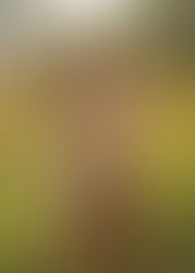 Small, Medium and Large