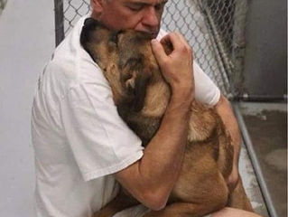 Looking for a new dog