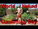 naked garden