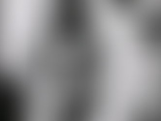 Che Guevara - You sacrified your life for cowards.