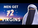 72 virgins is rare - surely ? 