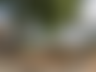 Nudists' fury as resort bosses cut off power after they refused to put clothes back on