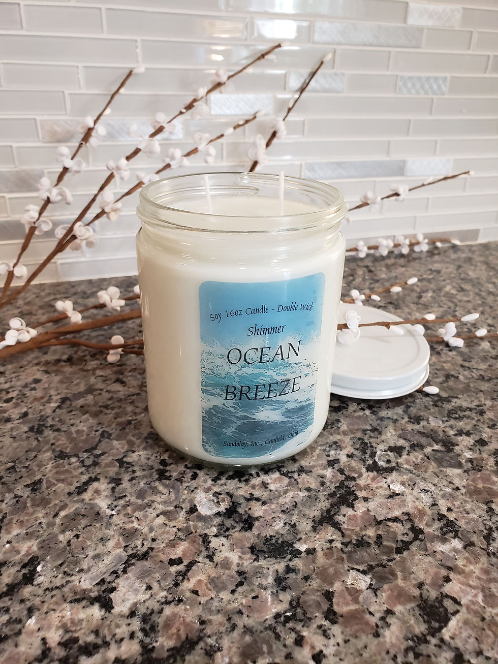 Thumbnail: Ocean Breeze 16oz Soy Candle 