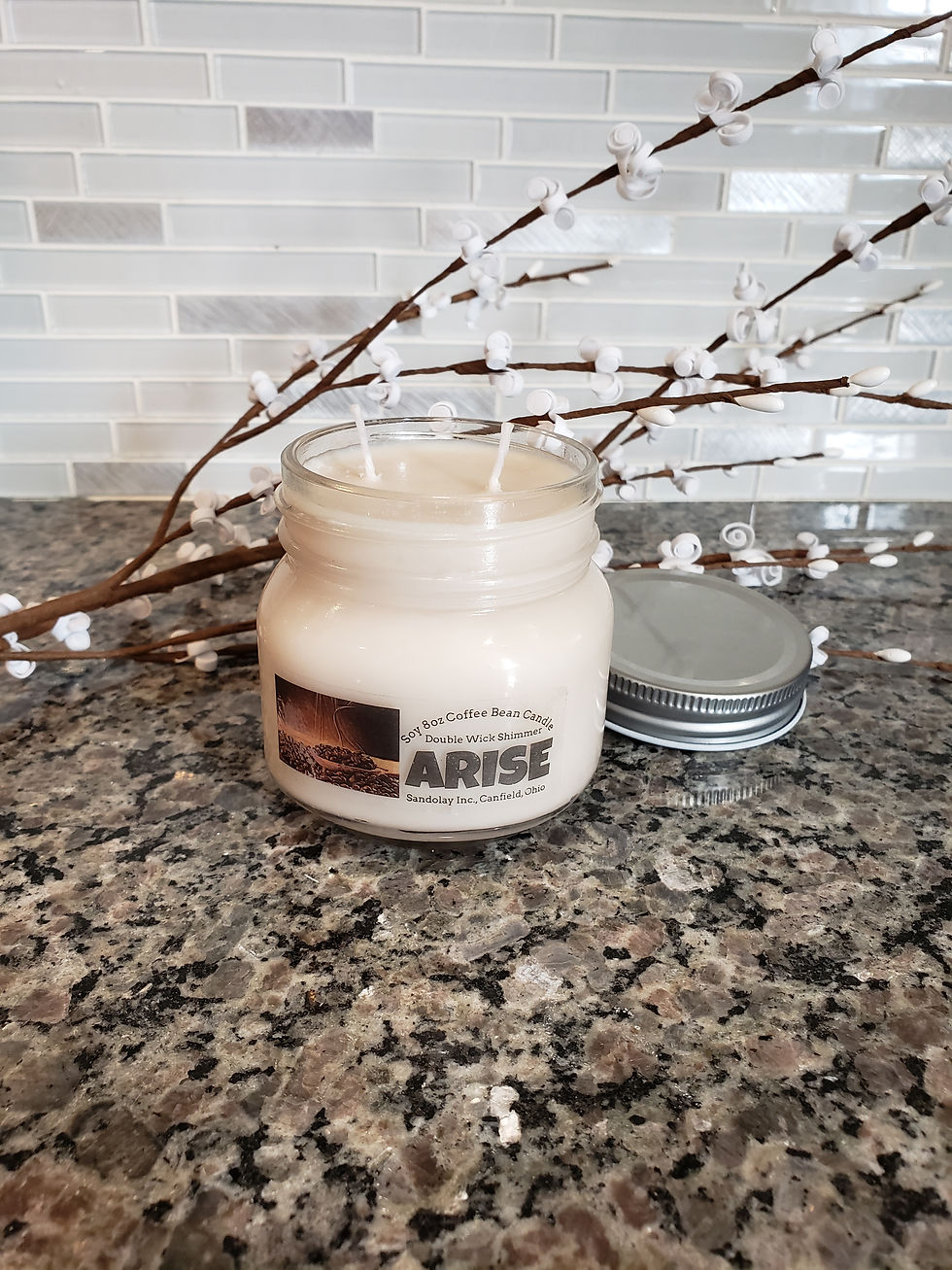 Coffee Bean - ARISE 8oz Double Wick Shimmer